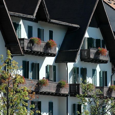 Th San Martino - Majestic Dolomiti Hotel San Martino Di Castrozza Εξωτερικό φωτογραφία